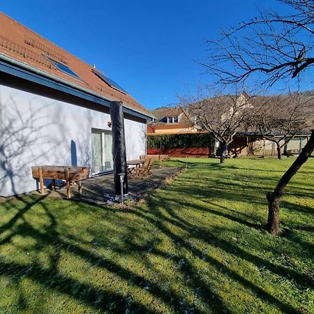 Le Gite De Cleo, Maison Spacieuse Et Paisible. Metzeral Esterno foto