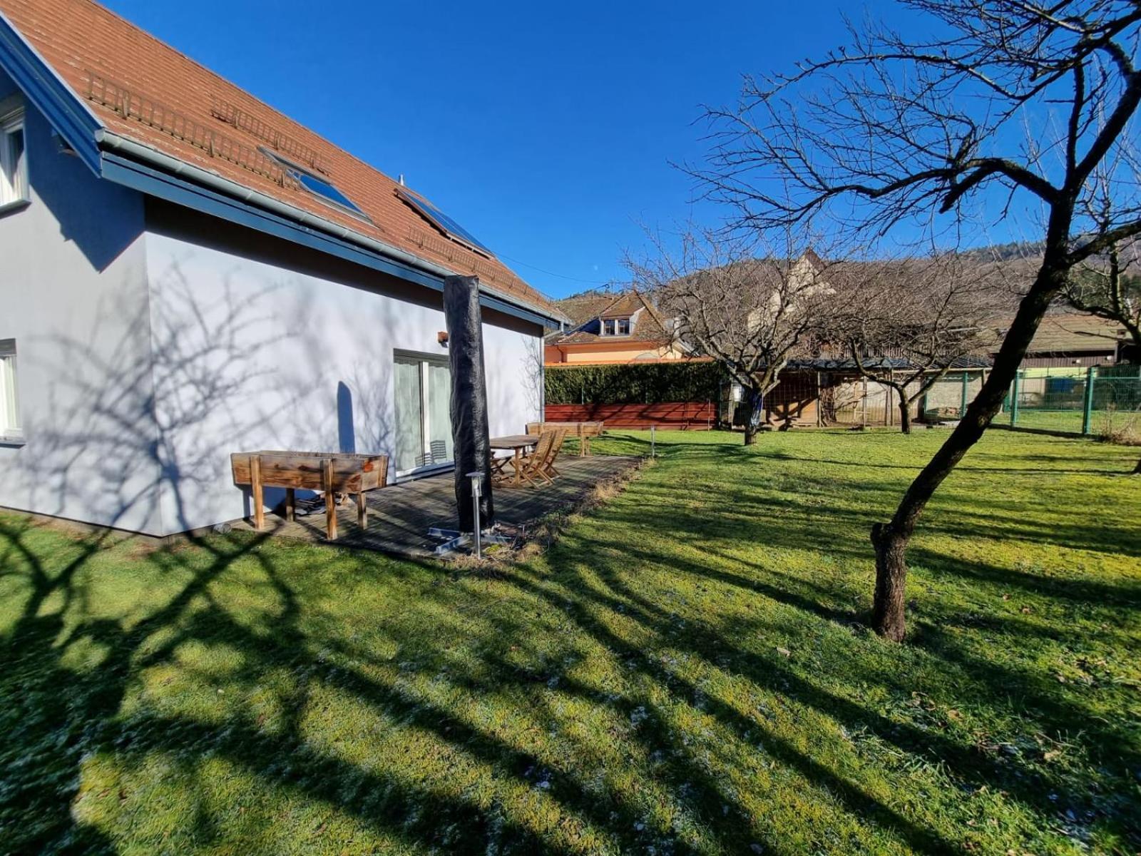 Le Gite De Cleo, Maison Spacieuse Et Paisible. Metzeral Esterno foto